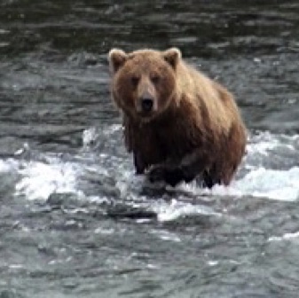 Screen Shot 2016-07-08 at 8.40.23 PM.jpg